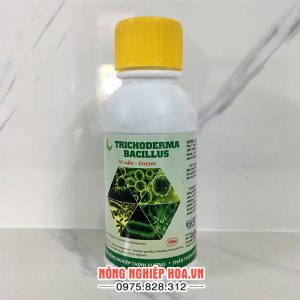 Thuốc trị cây chết nhanh Trichoderma Bacilius T101