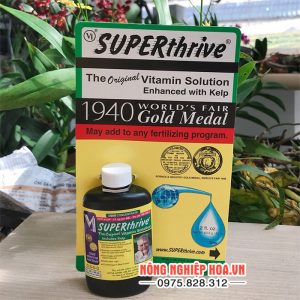 Superthrive cho cây mai vàng chính hãng lọ 60ml – T80