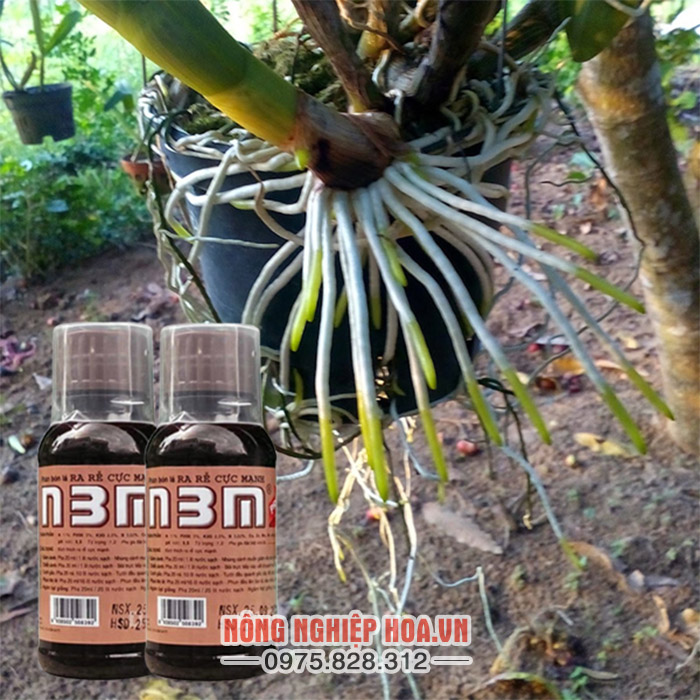 Siêu kích rễ N3M chuyên dùng kích rễ cho hoa cây cảnh lọ 100ml