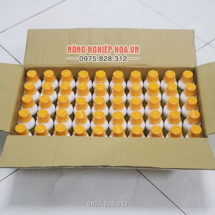 Tác dụng b12 đối với phong lan hiệu quả cao Tác dụng b12 đối với phong lan hiệu quả cao
