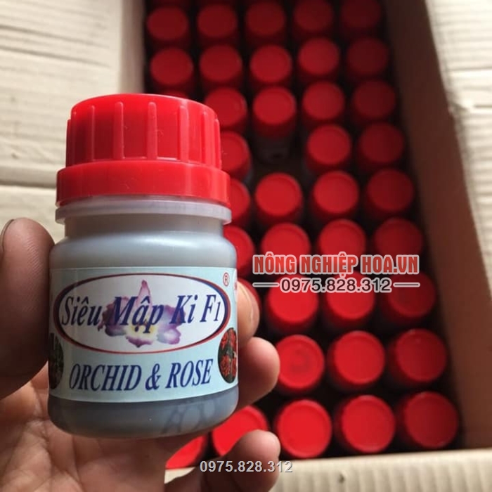 Thuốc cho lan mập dùng được cho lan và hoa hồng