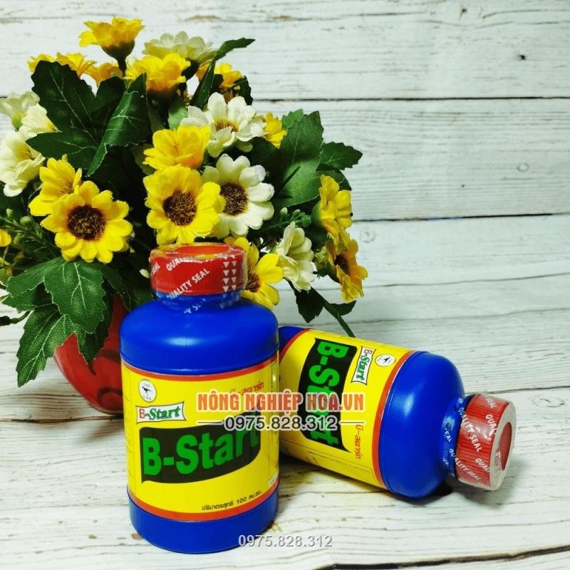 Vitamin hàng Thái Lan có tác dụng phục hồi cây bị vỡ chậu hoặc đánh bầu
