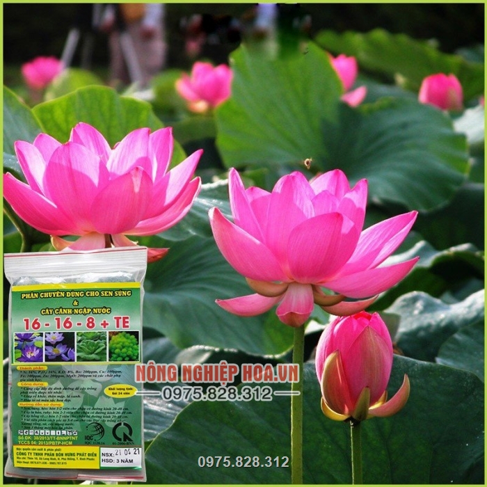 Sử dụng tốt cho các cây trồng ngập trong nước Sử dụng tốt cho các cây trồng ngập trong nước