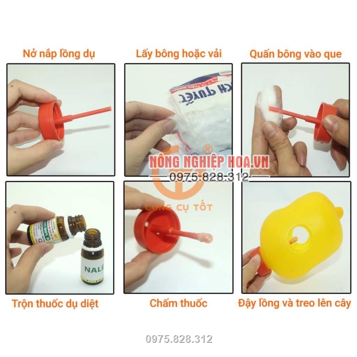 Quy trình treo sử dụng bẫy ruồi vàng Quy trình treo sử dụng bẫy ruồi vàng