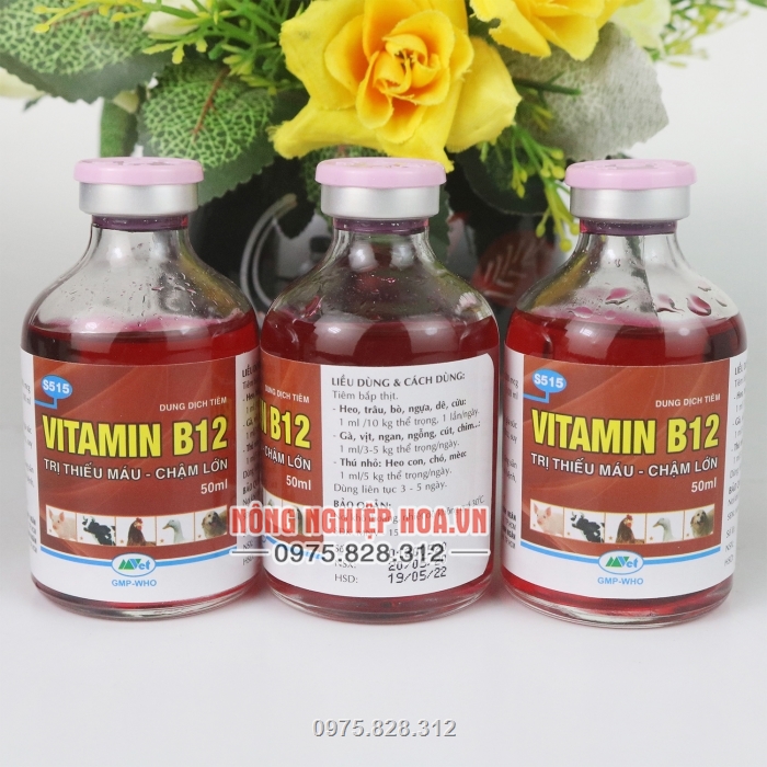 Vitamin B12 sử dụng cho cây trồng giúp giải độc cho cây Vitamin B12 sử dụng cho cây trồng giúp giải độc cho cây