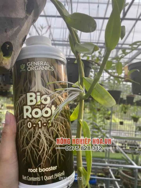 Bio Root kích rễ cực mạnh cho hoa lan