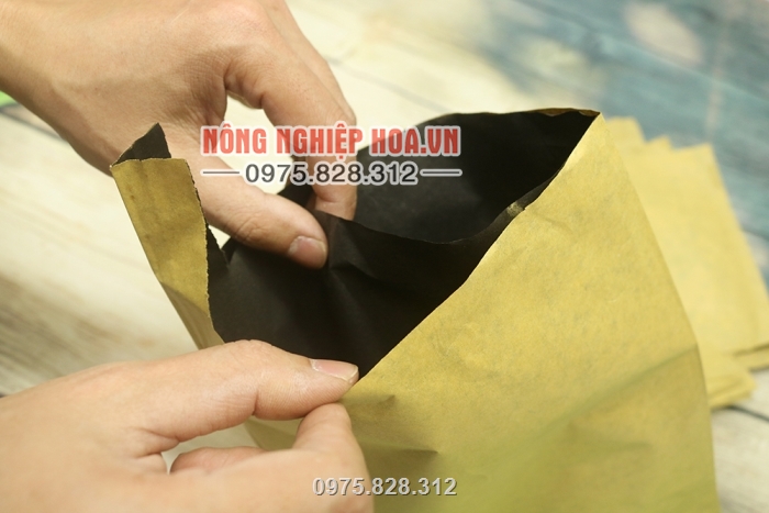 Túi có cấu tạo 2 lớp bên ngoài là giấy vàng, bên trong là lớp giấy đen