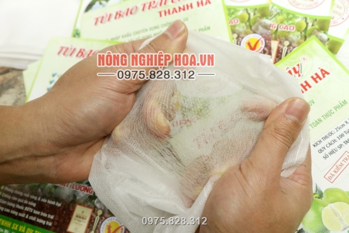 Với chất liệu vải không dệt túi có độ mềm và dai sử dụng được tới 2 vụ Với chất liệu vải không dệt túi có độ mềm và dai sử dụng được tới 2 vụ